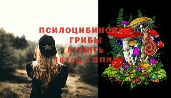 спиды Алексин