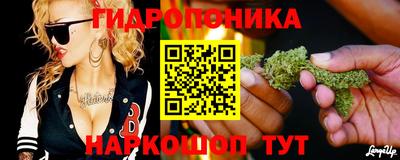 тгк Абинск