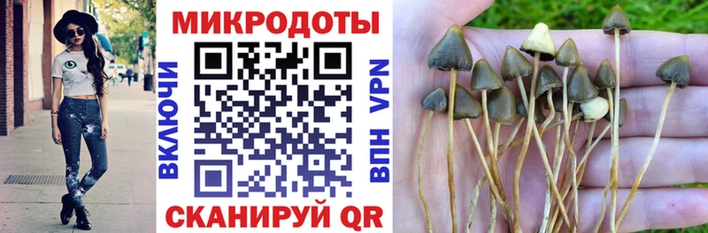Галлюциногенные грибы Magic Shrooms  Ангарск 