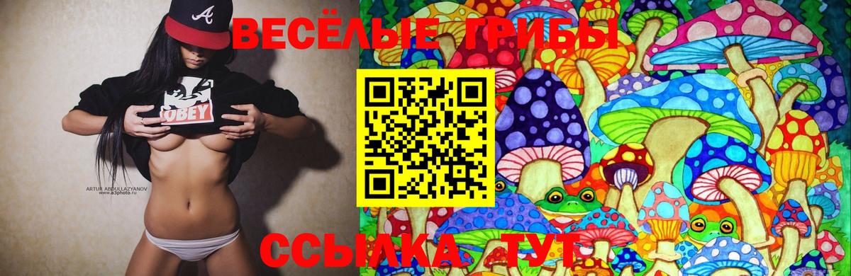 Галлюциногенные грибы прущие грибы Ангарск