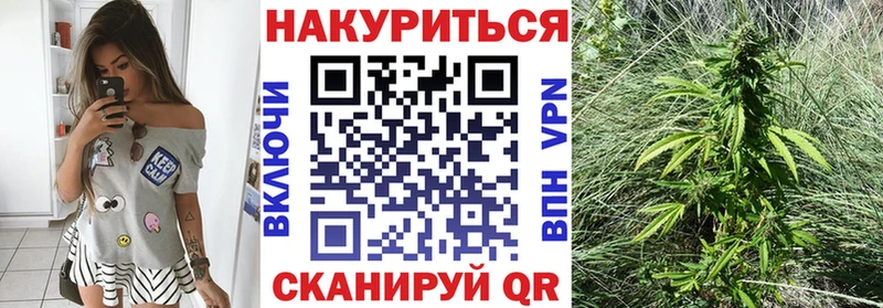 цена   Ангарск  Канабис семена 